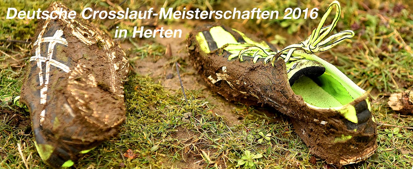 Die Deutschen Crosslauf-Meisterschaften 2016 in Herten hatten echten Crosslauf-Charakter: Gut zwei Dutzend Paar Schuhe blieben in den Schlammpassagen stecken.